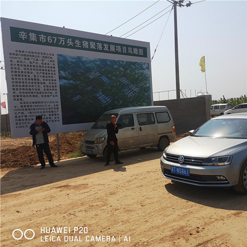 辛集市67万头生猪聚落采购91成人抖音钢三柱成年人抖音网站